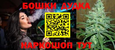 гидра Кандалакша