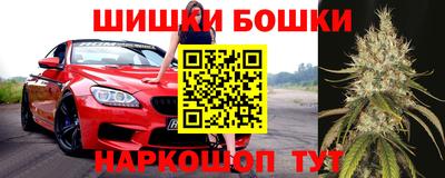 гидра Кандалакша