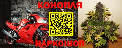 гидра Кандалакша