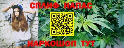 гидра Кандалакша
