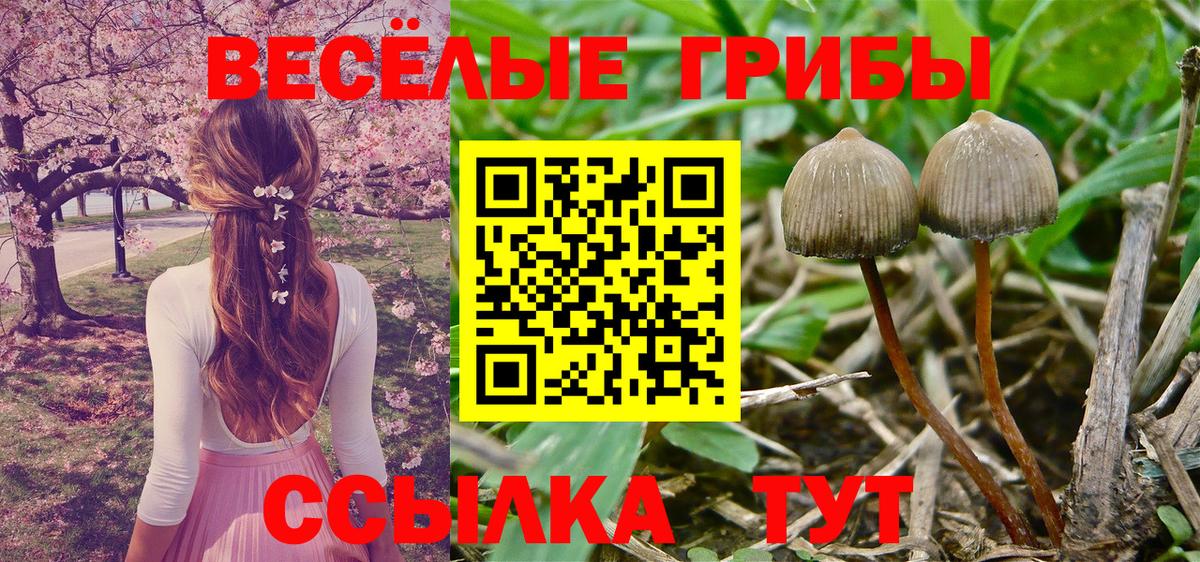 Псилоцибиновые грибы ЛСД Губкин