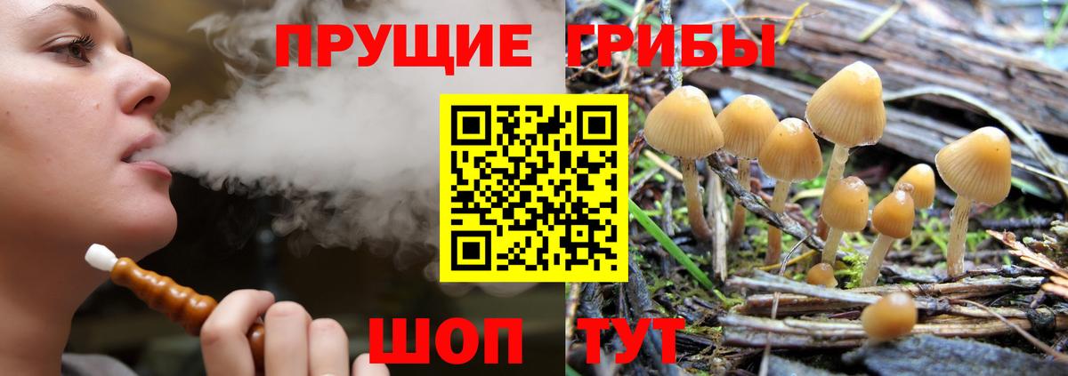 Галлюциногенные грибы Psilocybine cubensis  даркнет сайт  Псилоцибиновые грибы мухоморы  Губкин  Вход с VPN 