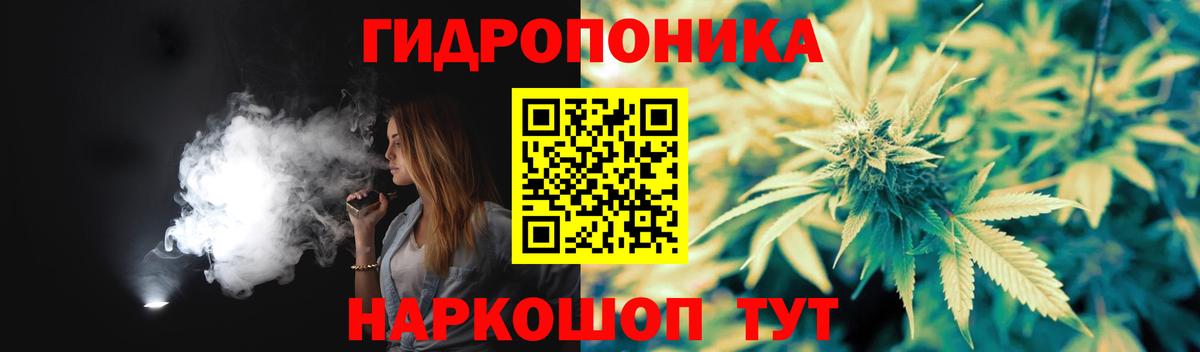 Губкин  Канабис SATIVA & INDICA  Бошки Шишки конопля  Марихуана Ganja  Вход с VPN  Марихуана план 